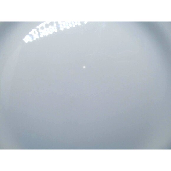 Pottery Barn Great White l1 3/4" Dinner Plate VGC - Picture 4 of 9